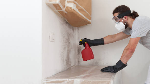 Professional Black Mold Removal technician working in Lake Worth, TX